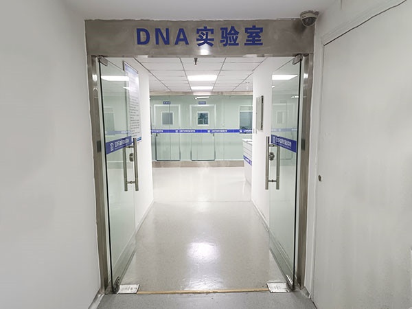 风采展示